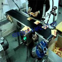 Conveyor For Batch Printing